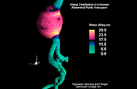 software-imagem-12 imagem ilustrativa CMI