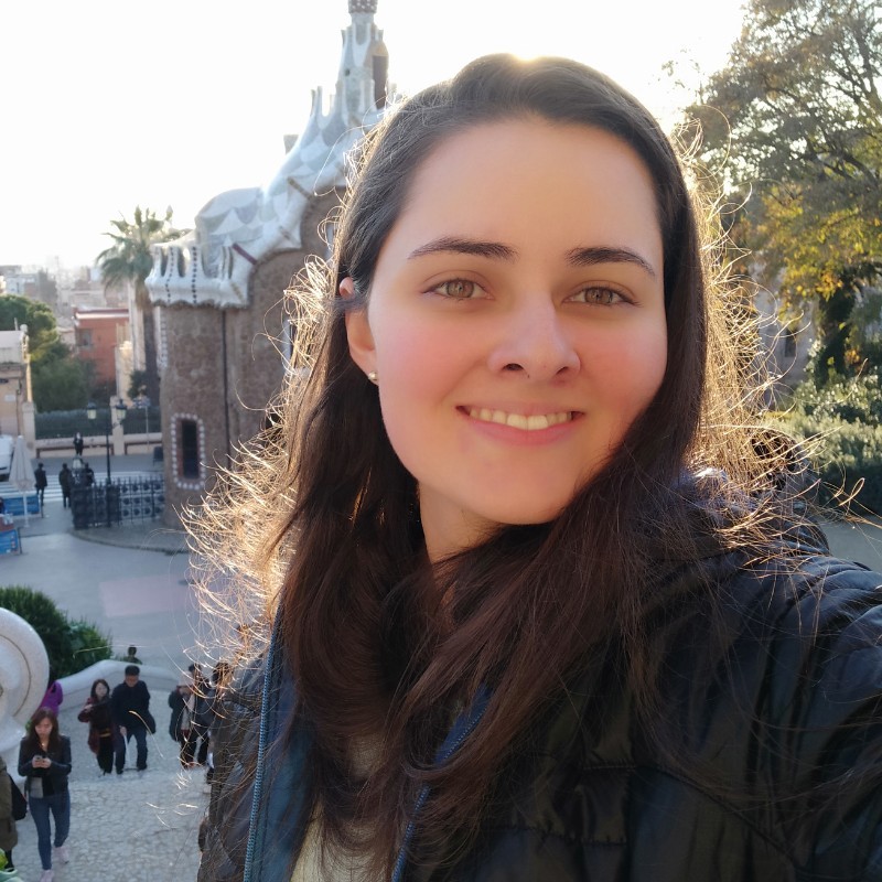 Sabrina Fernandes Rezende ATS CFD Engineer